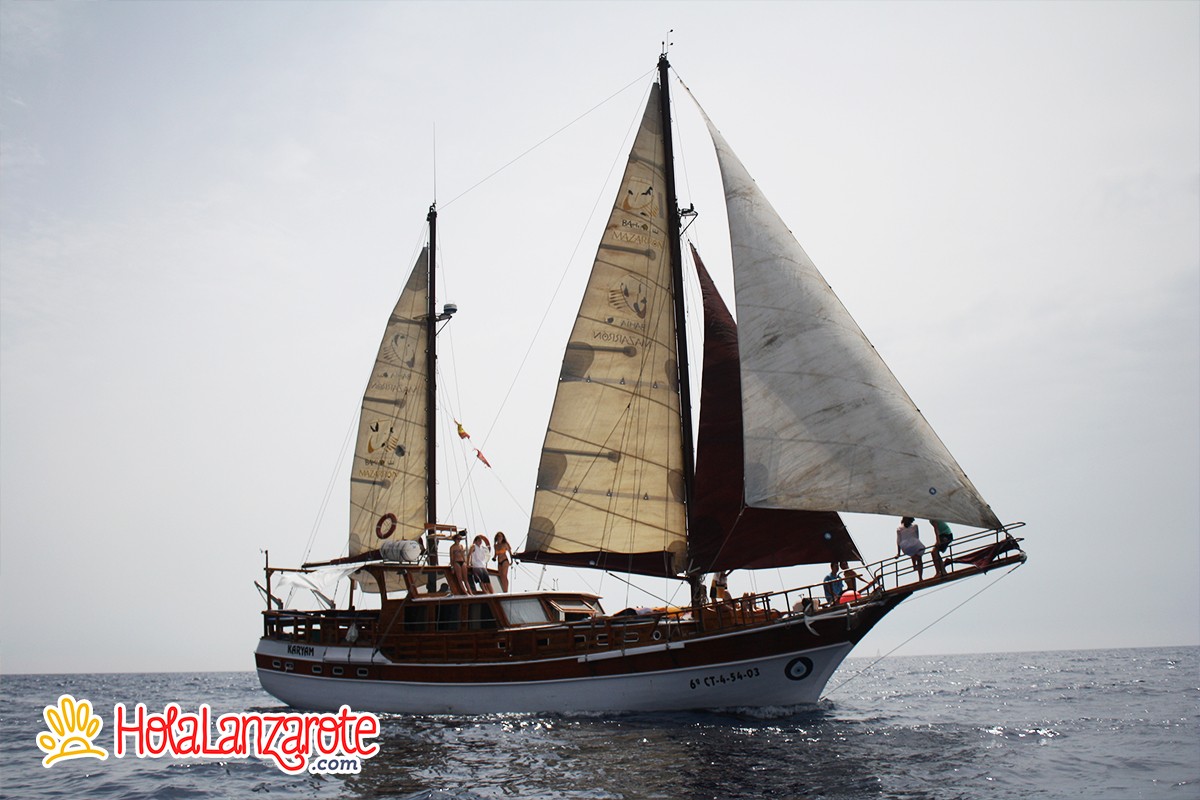 Avistamiento de Cetáceos en Lanzarote