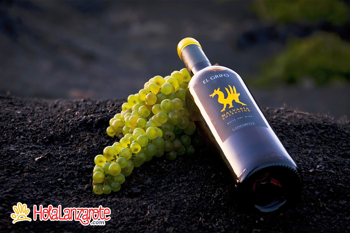 Bodegas El Grifo Bodegas El Grifo