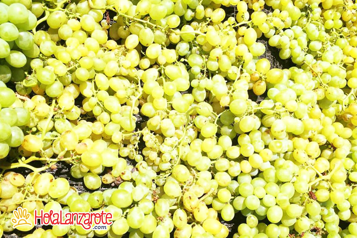 Bodegas Guiguan Bodegas Guiguan