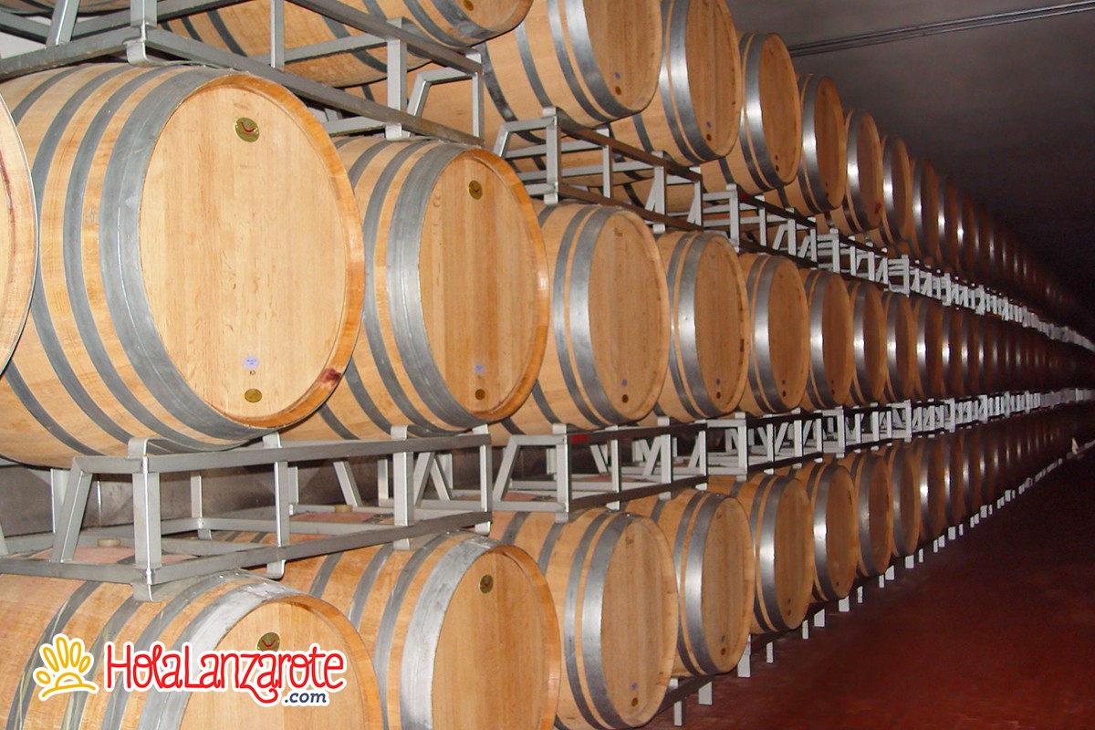 Reymar - Los Perdomos Winery