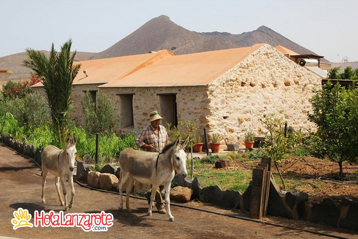 Traves&iacute;a a Fuerteventura