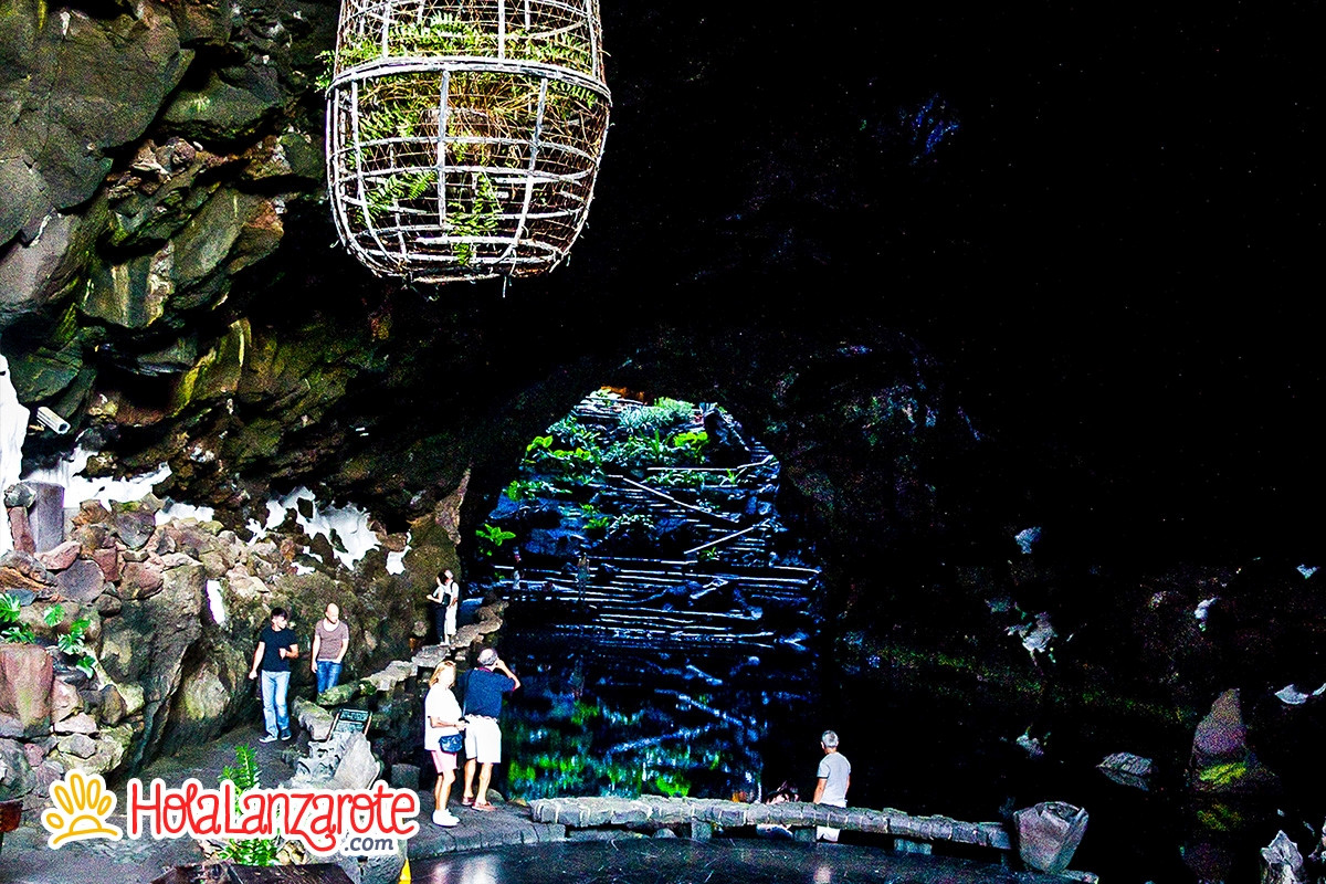 Jameos del Agua Express