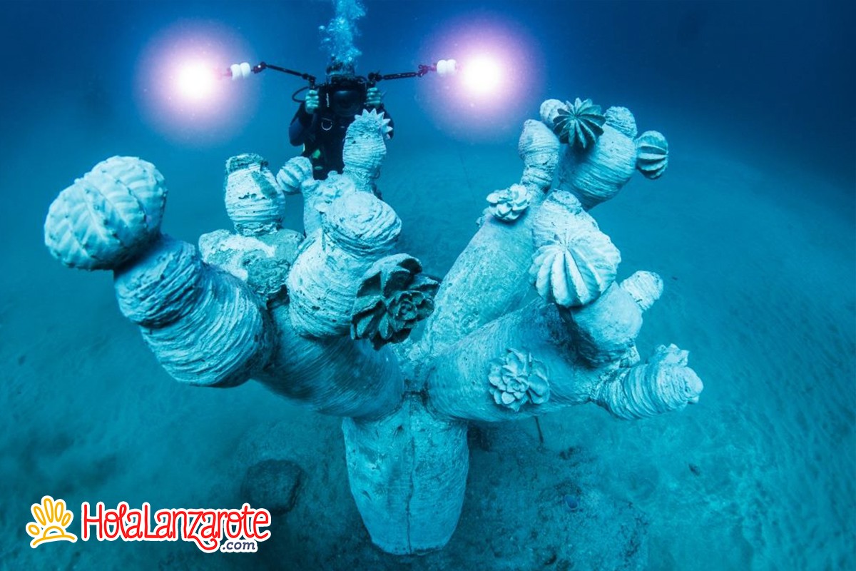 Bautizo de Buceo y Museo Atlántico con Native Diving