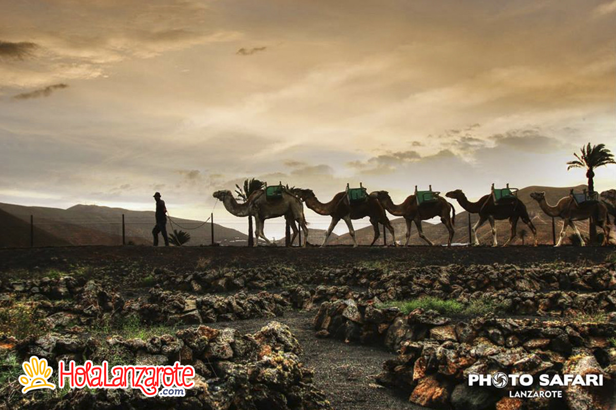 Photo Safari Lanzarote
