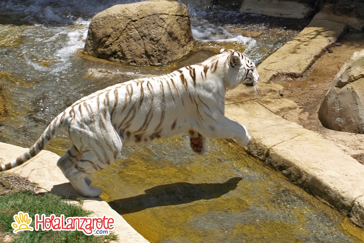 Rancho Texas Lanzarote Park
