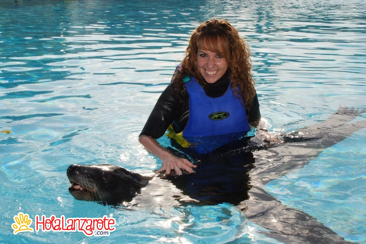 Swimming with sea lions at Rancho Texas Park Swimming with sea lions at Rancho Texas Park