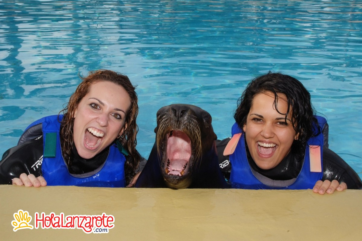 Swimming with sea lions at Rancho Texas Park Swimming with sea lions at Rancho Texas Park